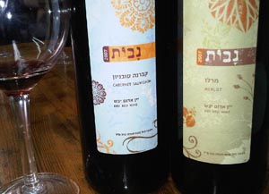 קברנה סוביניון ומרלו 2007 - יקב נבות